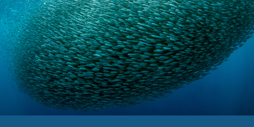 Journal-Two-Column-Ribbon-880x440-Complex-Systems- CSY