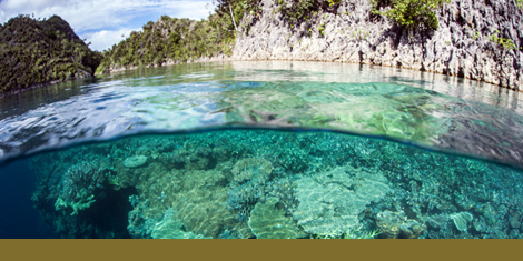 Journal-Three-Column-Ribbon-470x235-Ecosystems- ESY