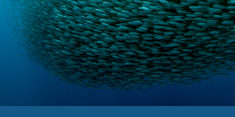 PLOS-Complex-Systems-journal-image