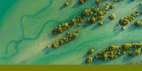 Journal-Three-Column-Ribbon-470x235-Sustainability-STR